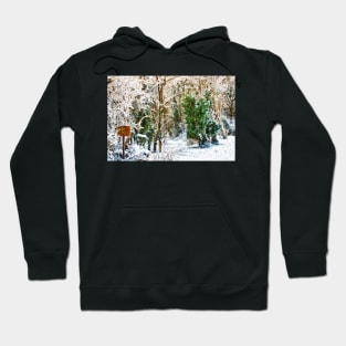 Woodland Snow Hoodie